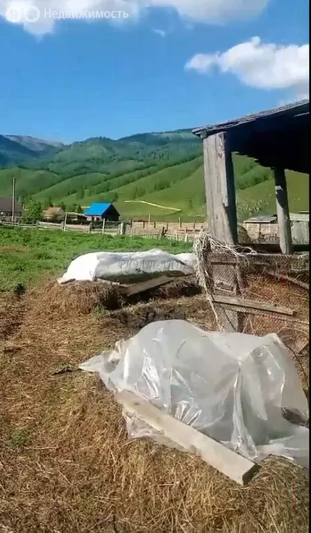 Дом в село Тюнгур, Катунская улица (60.5 м) - Фото 1