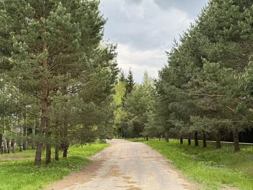 Участок в Тверская область, Конаковский муниципальный округ, д. Елдино ... - Фото 0