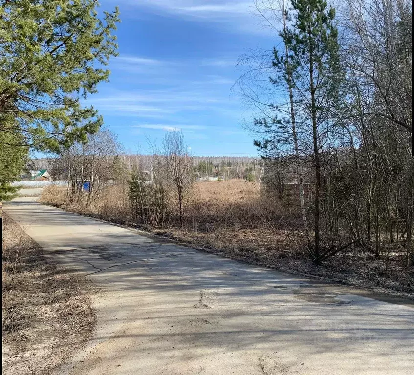 Участок в Свердловская область, Белоярский муниципальный округ, ... - Фото 2