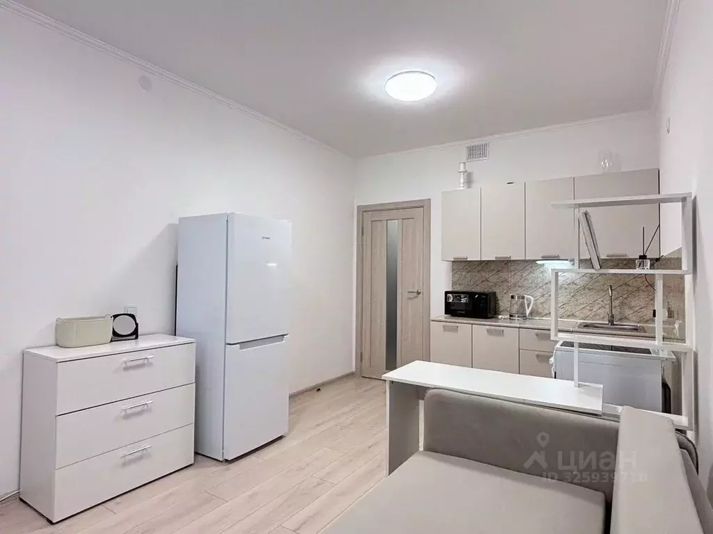 Студия Ленинградская область, Мурино Всеволожский район, просп. ... - Фото 1