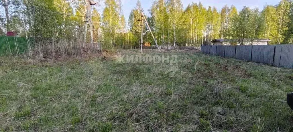 Участок в Новосибирская область, Искитимский район, Морозовский ... - Фото 0