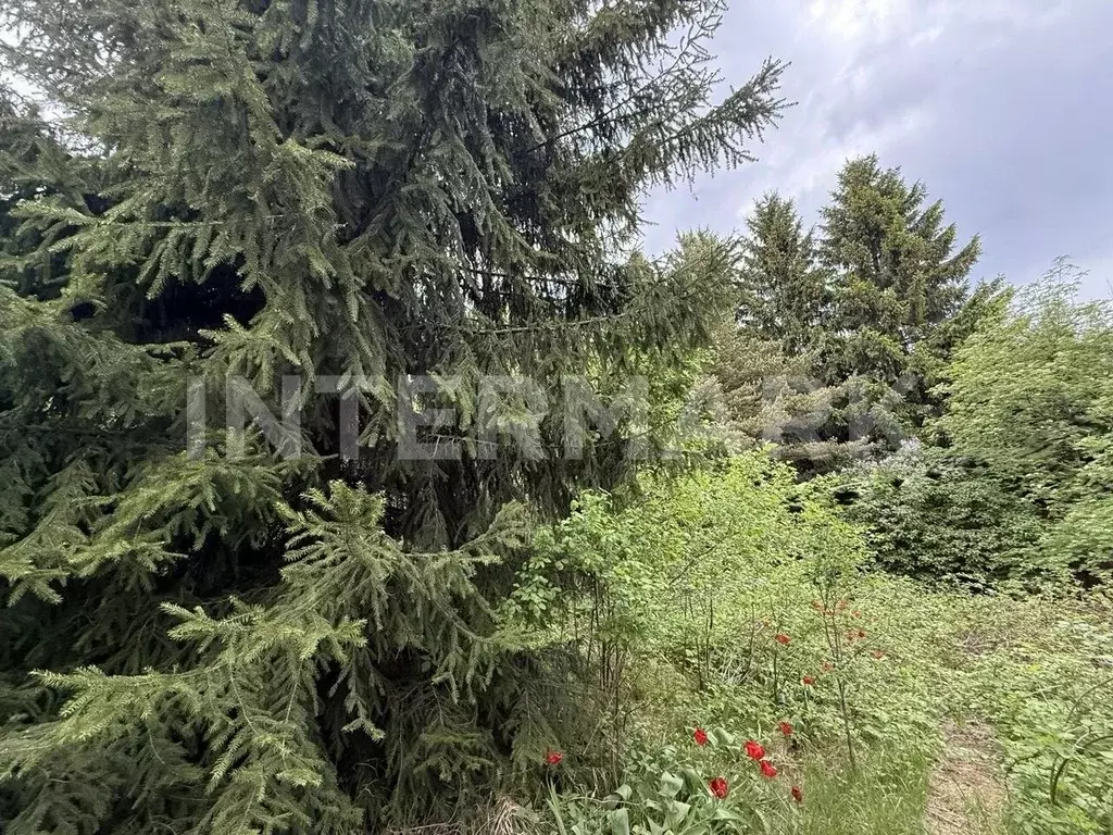 Участок в Московская область, Одинцовский городской округ, д. ... - Фото 0