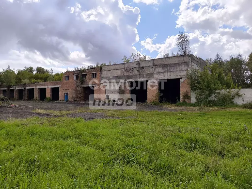 Помещение свободного назначения в Алтайский край, Барнаул городской ... - Фото 0