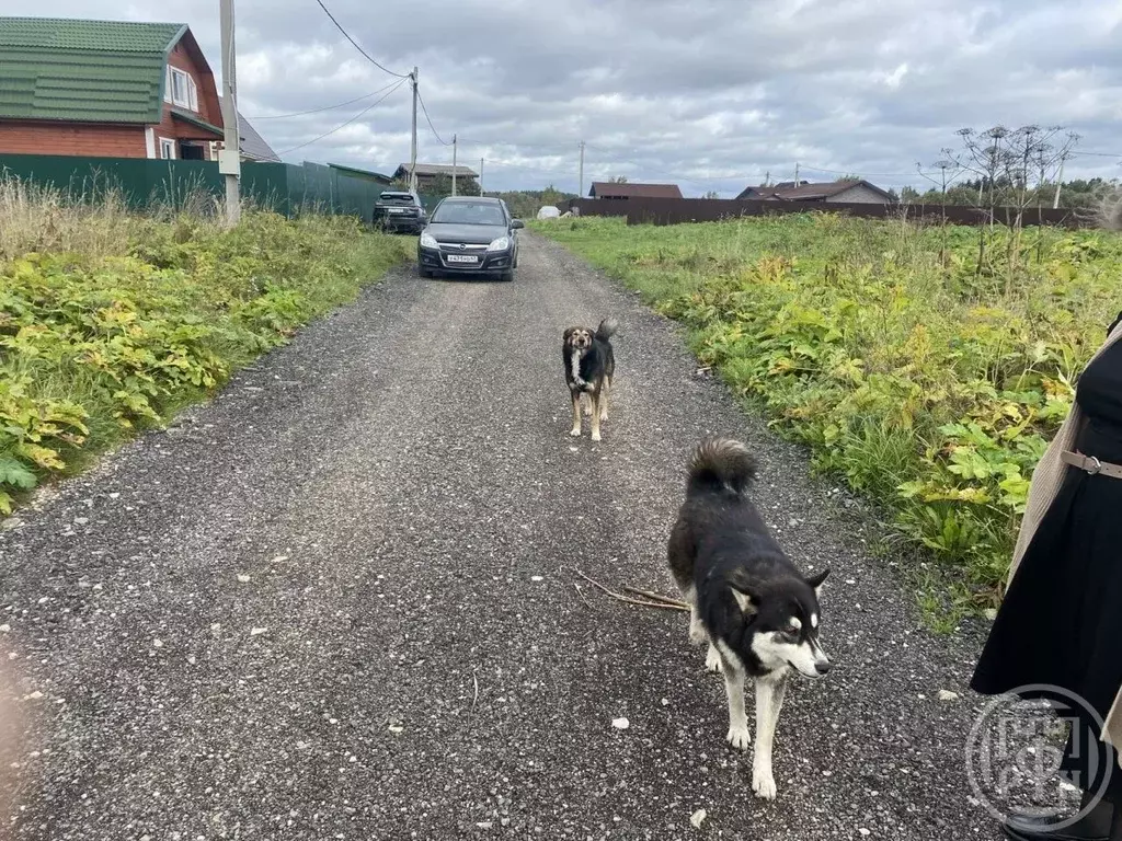 Участок в Ленинградская область, Лужский район, Заклинское с/пос, д. ... - Фото 1