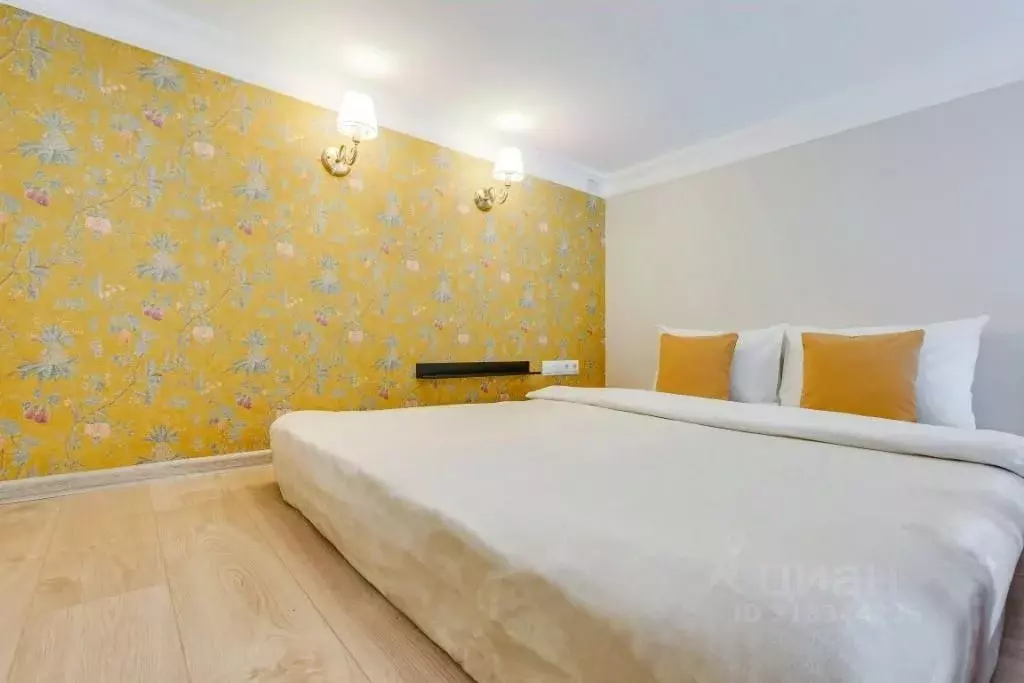 1-к кв. Санкт-Петербург Пушкинская ул., 19 (16.0 м) - Фото 2