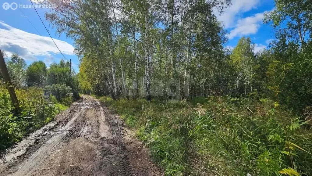 Участок в Тюменский муниципальный округ, СНТ Исток (10.11 м) - Фото 2
