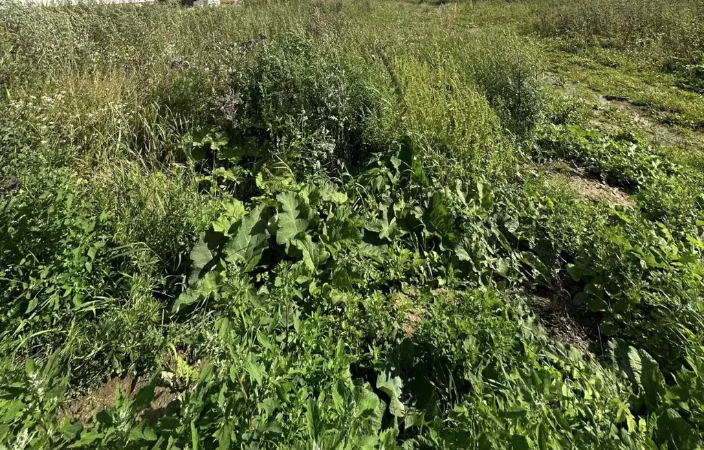 Участок в Московская область, Клин городской округ, Гея садовое ... - Фото 2