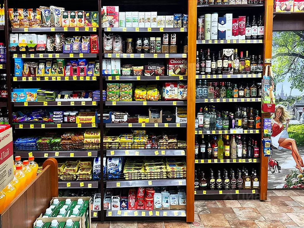 Помещение свободного назначения в Санкт-Петербург Серпуховская ул., 16 ... - Фото 2