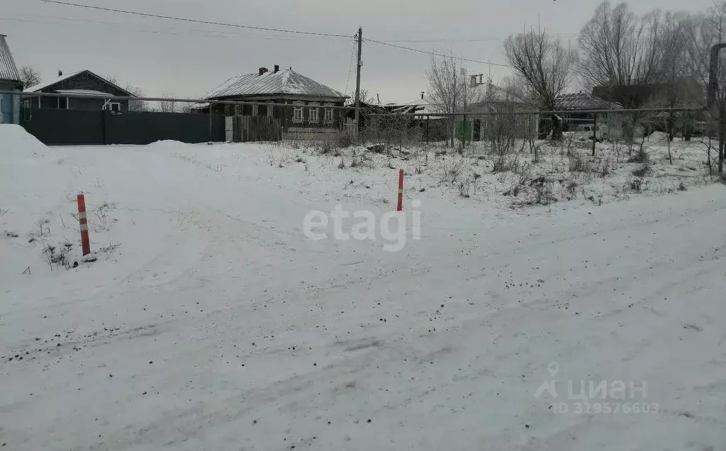 Участок в Нижегородская область, Выкса городской округ, Шиморское рп ... - Фото 1