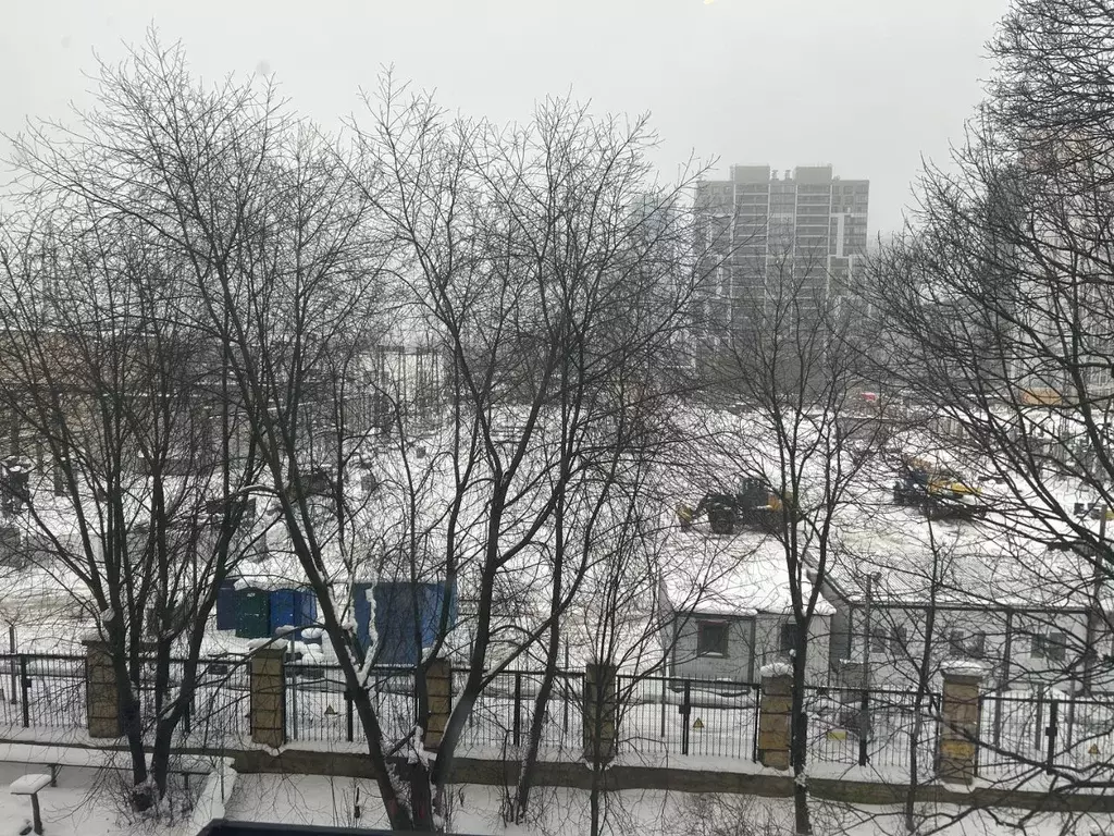 3-к кв. Санкт-Петербург ш. Революции, 51А (75.3 м) - Фото 2