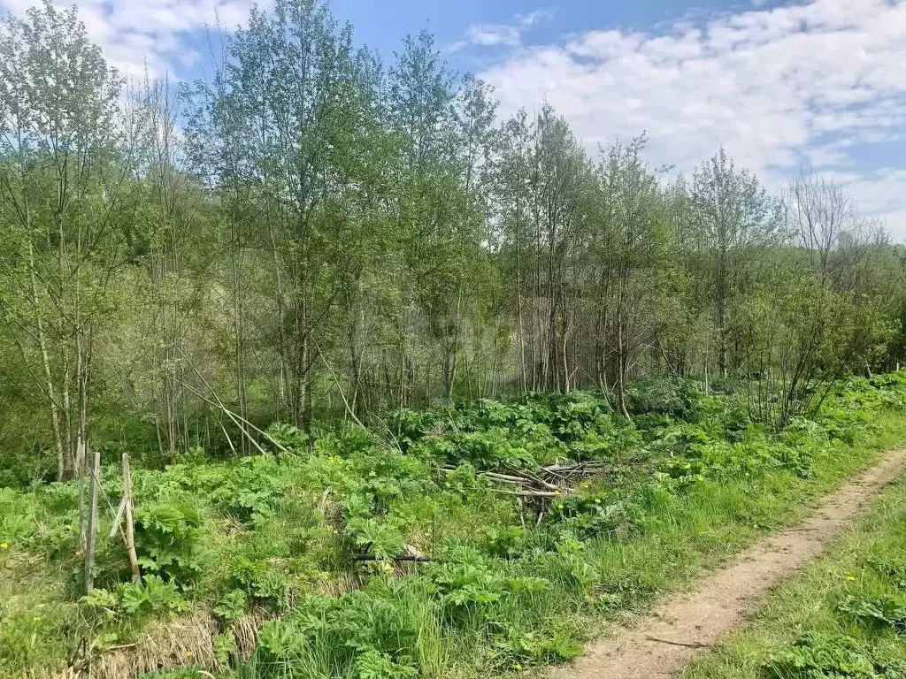 Участок 9 сот. (СНТ, ДНП) - Фото 0