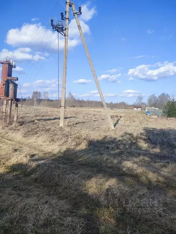 Участок в Новгородская область, Солецкий муниципальный округ, д. ... - Фото 1