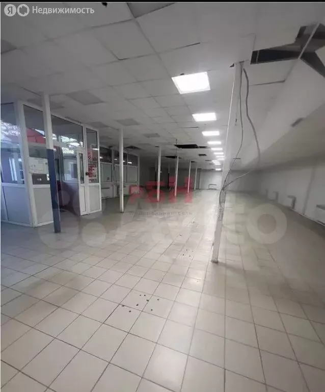 Помещение свободного назначения (300 м) - Фото 1