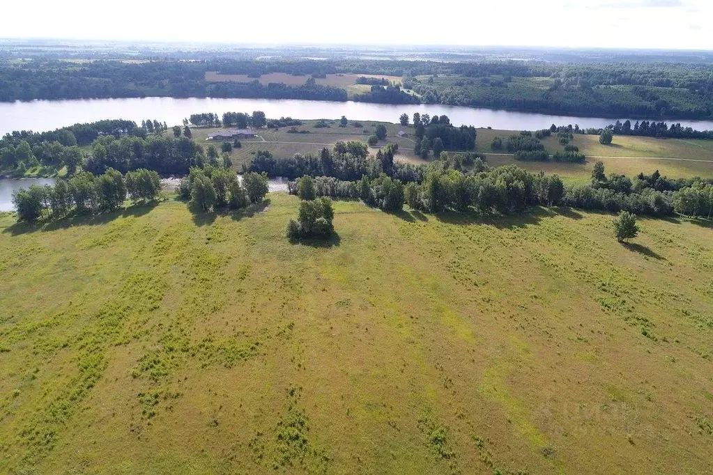 Участок в Тверская область, Зубцовский муниципальный округ, д. Борщево ... - Фото 2