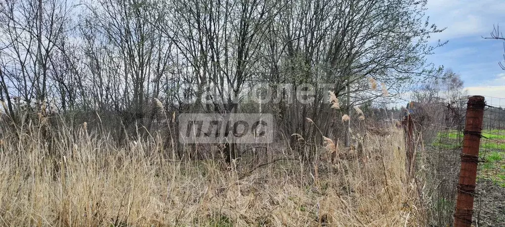 Участок 10 сот. (СНТ, ДНП) - Фото 0