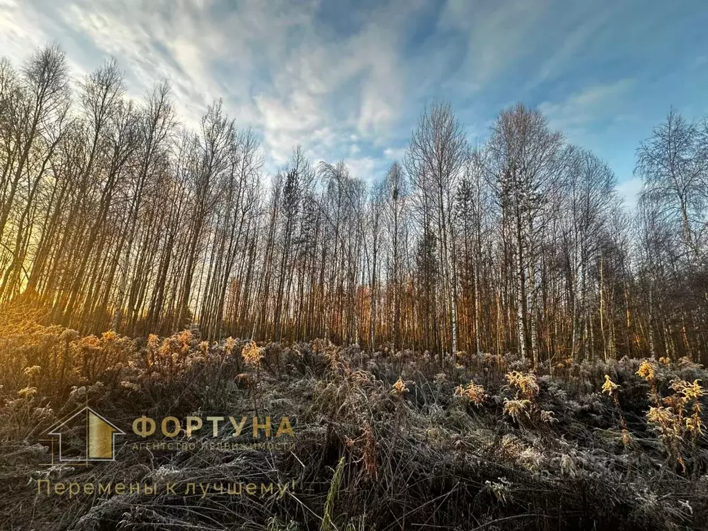 Участок в Нижегородская область, Бор пос. Большое Пикино, ул. Западная ... - Фото 1