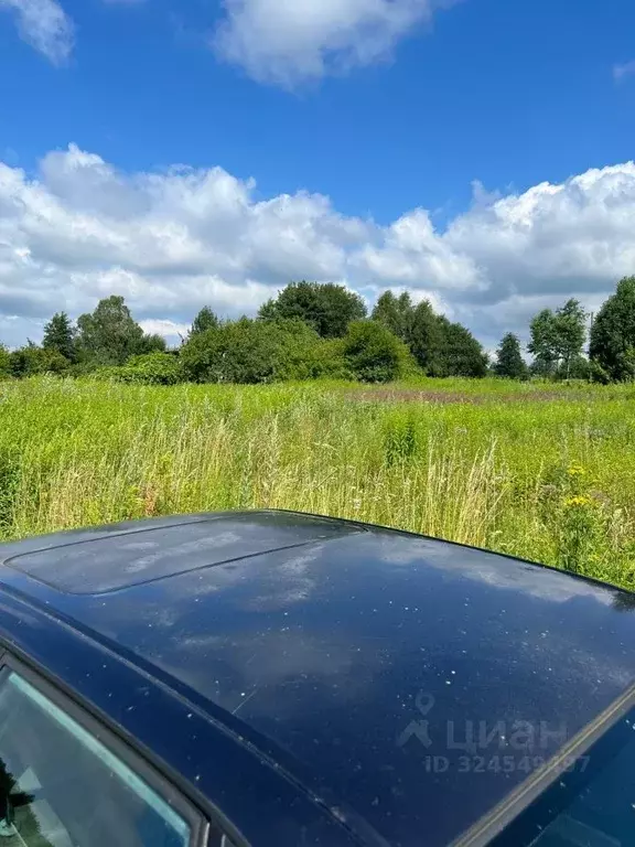 Участок в Калининградская область, Мамоново  (6.0 сот.) - Фото 2