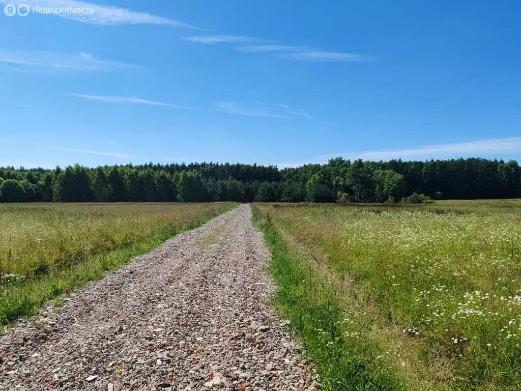 Участок в Московская область, Раменский муниципальный округ, КП ... - Фото 1