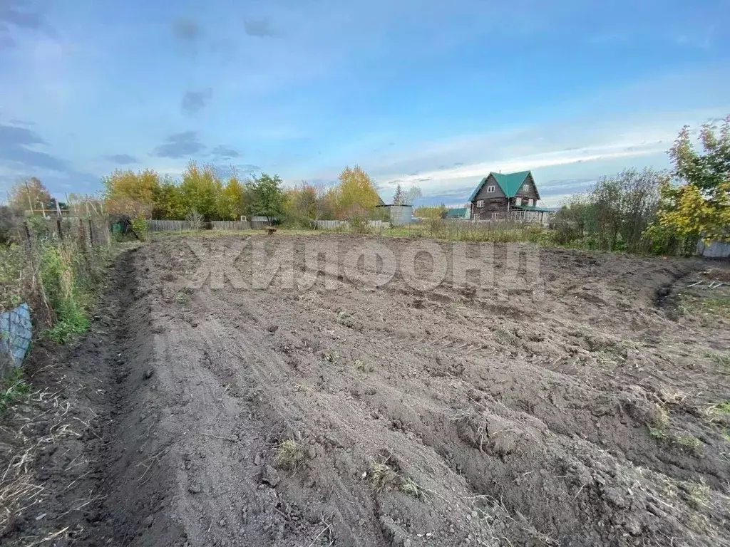 Дом в Новосибирская область, с. Новолуговое Песочная ул. (60 м) - Фото 1