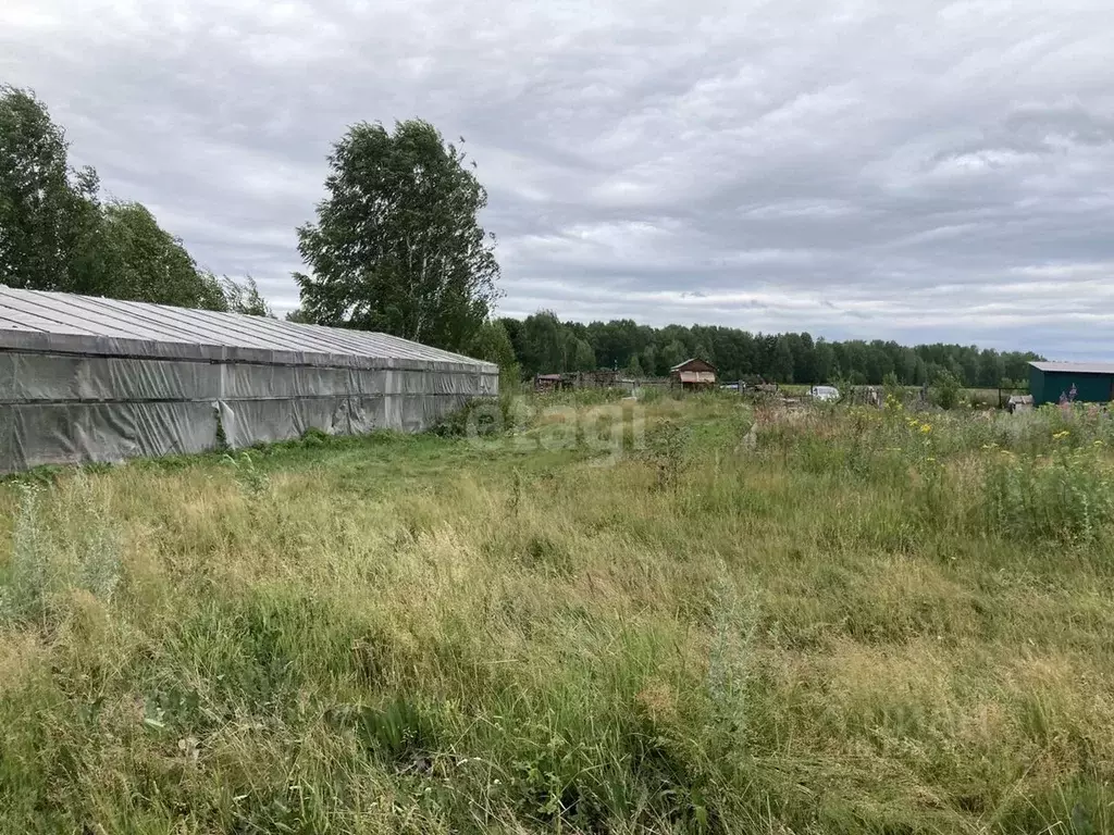 Участок в Свердловская область, Горноуральский городской округ, с. ... - Фото 1