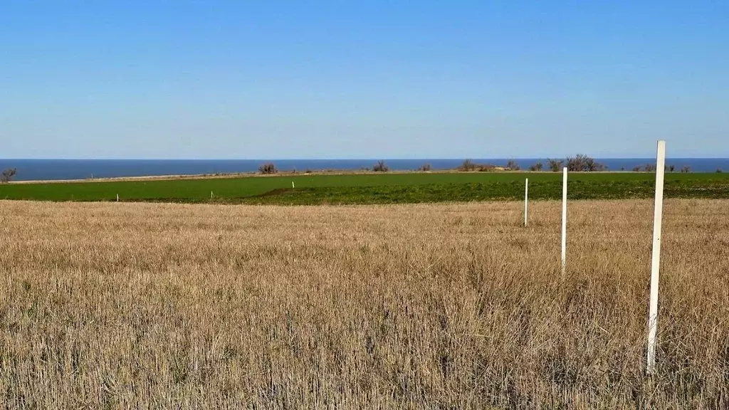 Участок в Крым, Ленинский район, Семисотское с/пос  (6.0 сот.) - Фото 2