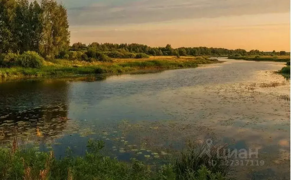 Участок в Ярославская область, Ярославский муниципальный округ, с. ... - Фото 2