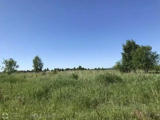 Участок в Пермский край, Осинский муниципальный округ, д. Старое ... - Фото 1