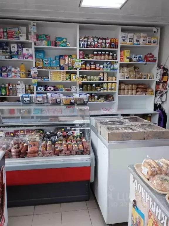 Торговая площадь в Ростовская область, Родионово-Несветайская сл. ул. ... - Фото 2