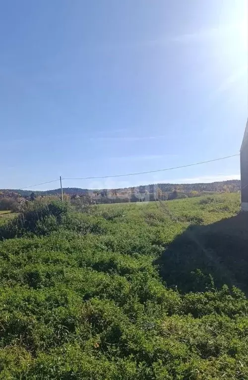 Участок в Пермский край, Полюдовский кв-л  (10.0 сот.) - Фото 0