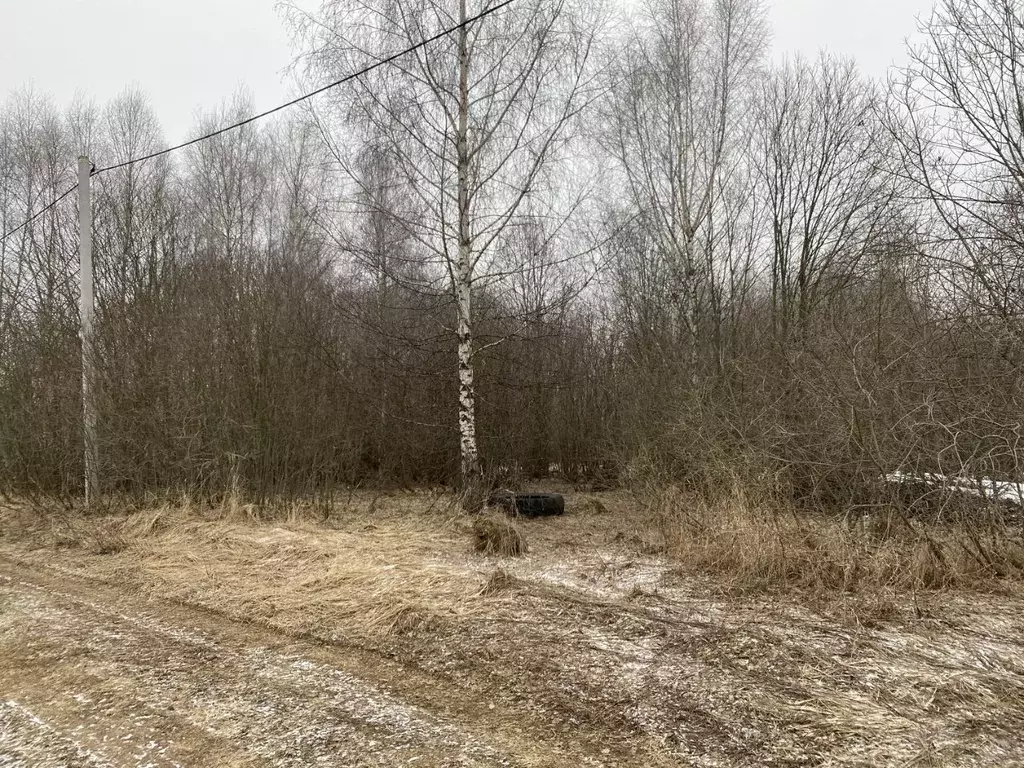 Участок в Московская область, Истра муниципальный округ, д. ... - Фото 0