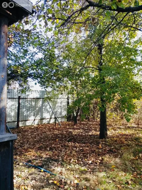 Участок в Челябинск, СНТ Тракторосад № 3, 54-я дорога (4 м) - Фото 2