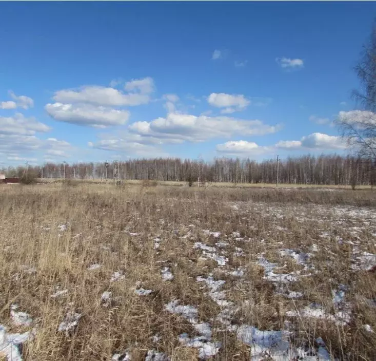 Участок в Московская область, Коломна городской округ, с. Никульское  ... - Фото 0