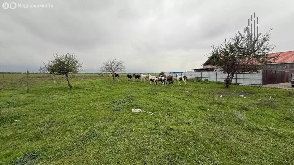 Участок в Урус-Мартан, Грушевая улица (10 м) - Фото 2