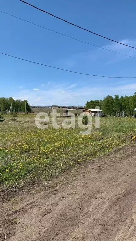 Участок в Красноярский край, Емельяново городское поселение, ... - Фото 1