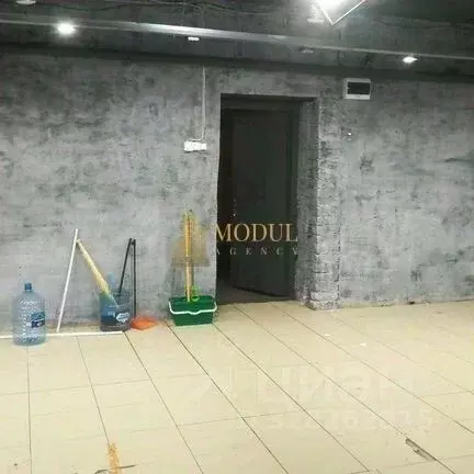 Помещение свободного назначения в Татарстан, Казань ул. Патриса ... - Фото 2