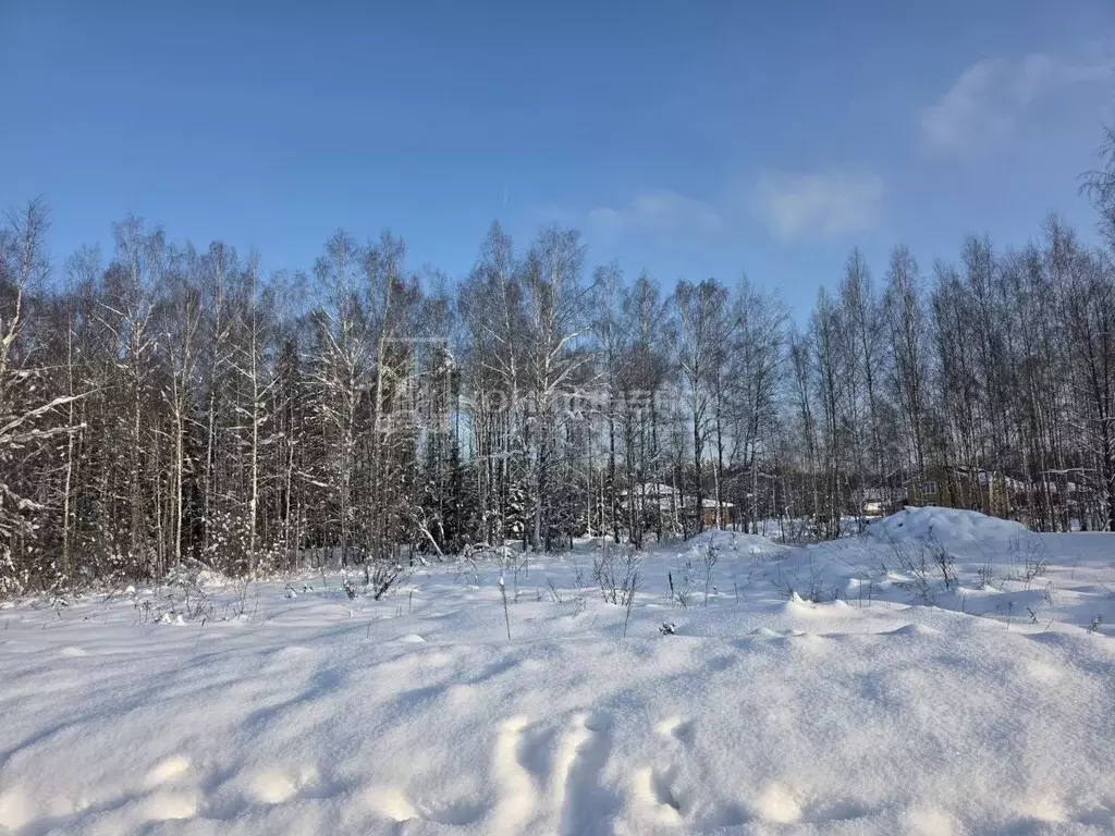 Участок в Владимирская область, Ковровский район, Доброград ... - Фото 2