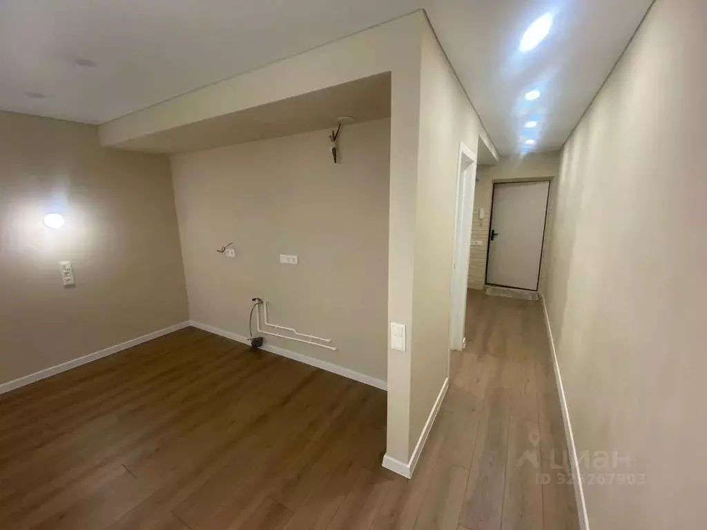 Студия Воронежская область, с. Новая Усмань ул. Полевая, 41Б (26.0 м) - Фото 1