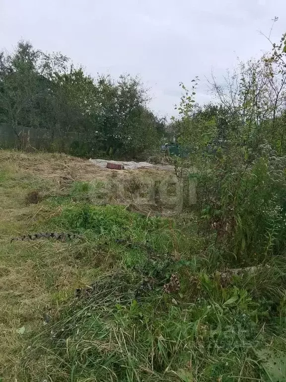 Участок в Калужская область, Калуга Березка СНТ, 275 (4.0 сот.) - Фото 1