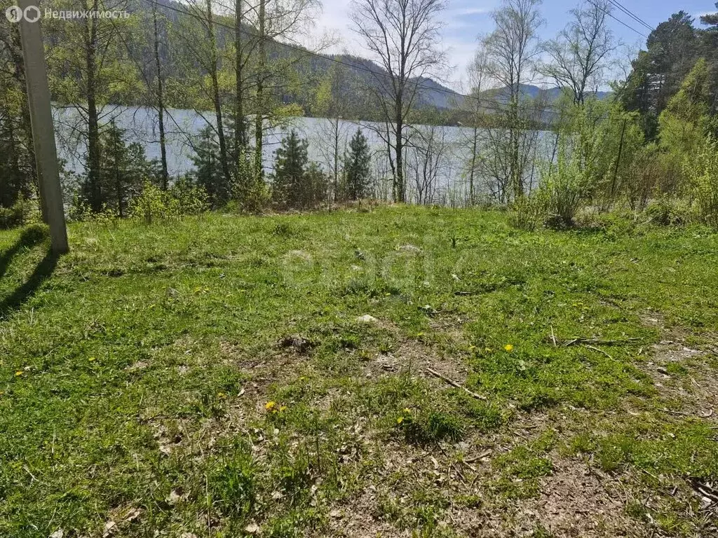 Участок в село Артыбаш, Телецкая улица (8 м) - Фото 1