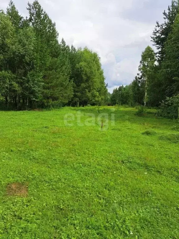 Участок в Алтай, Турочакский район, с. Кебезень  (210.7 сот.) - Фото 0