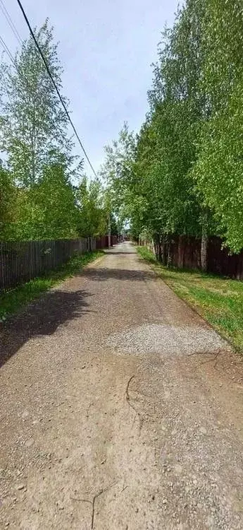 Участок в Иркутская область, Иркутский муниципальный округ, Полесье ... - Фото 1