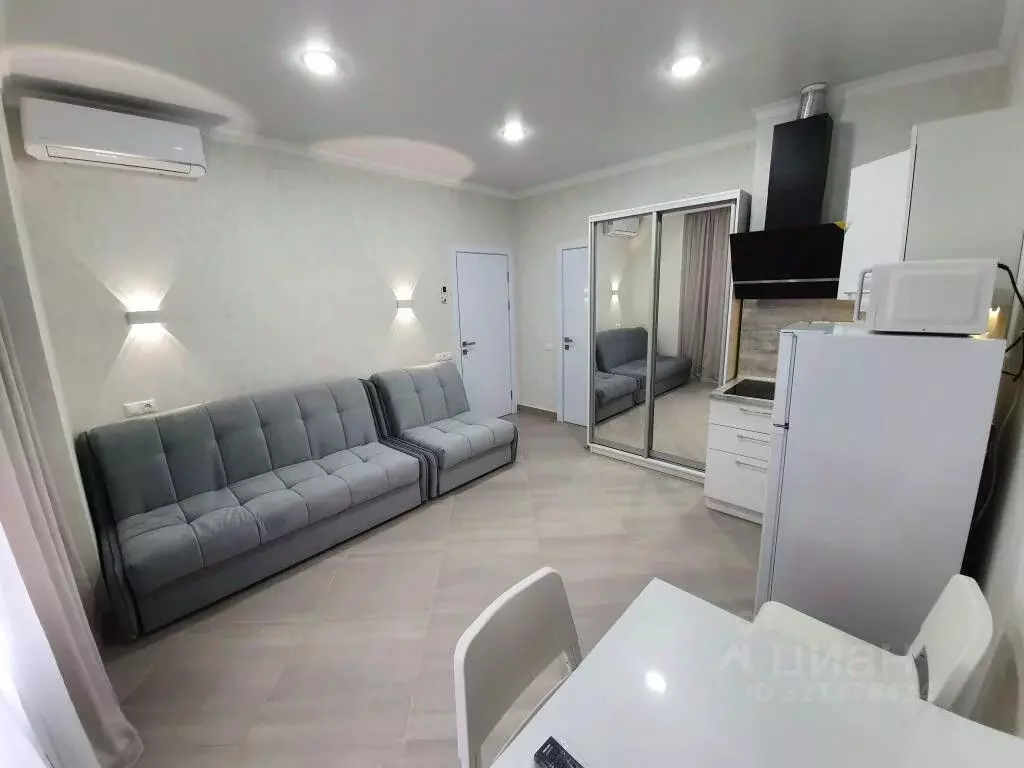 1-к кв. Краснодарский край, Сочи ул. 20 Горнострелковой дивизии, 40А ... - Фото 1