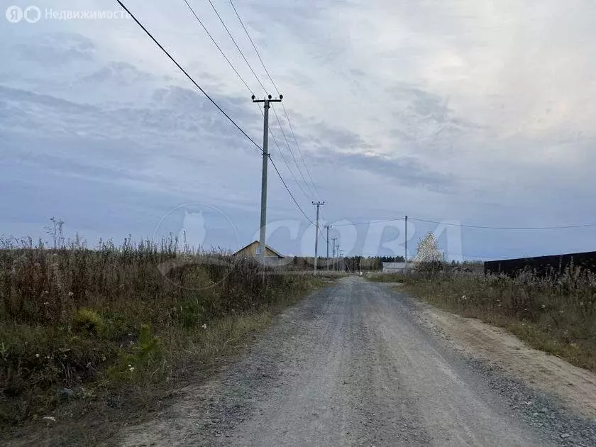 Участок в Тюменский район, село Каменка (15 м) - Фото 0