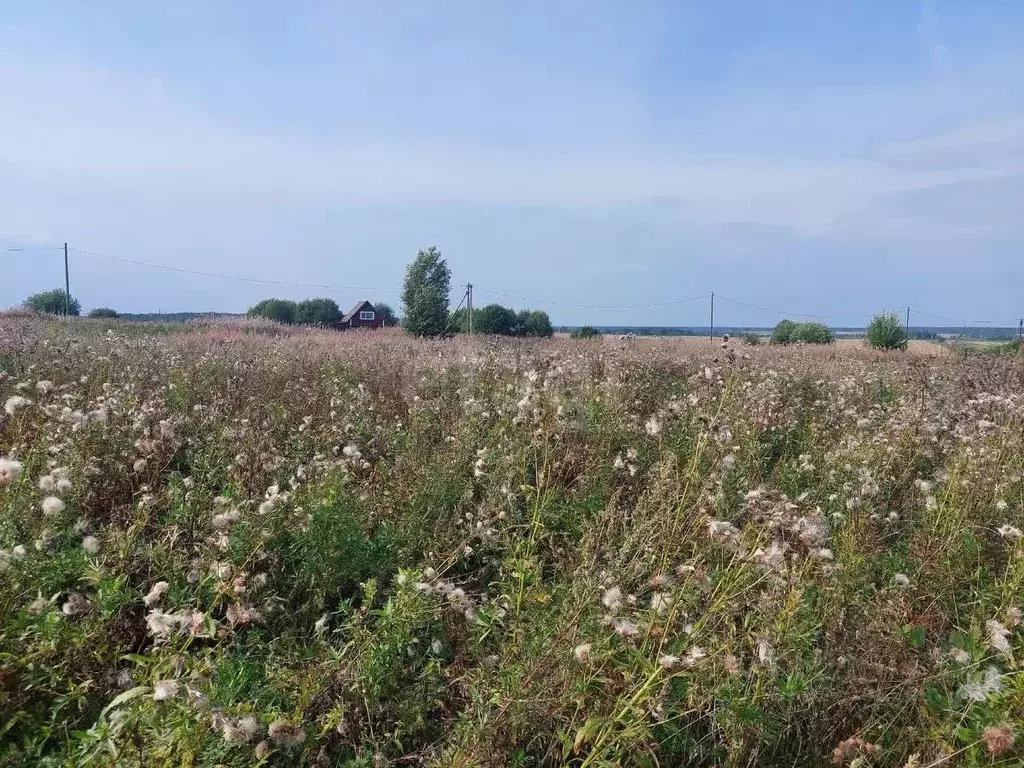 Участок в Вологодская область, пос. Ермаково  (16.22 сот.) - Фото 2