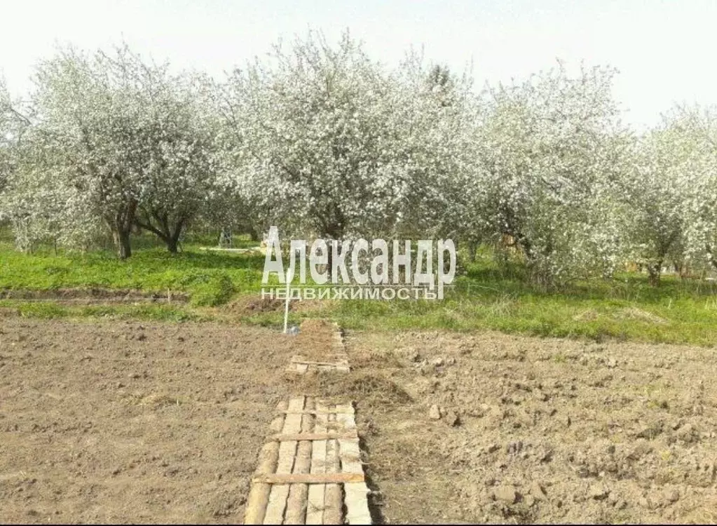 Участок в Ленинградская область, Лужский район, Ретюнское с/пос, д. ... - Фото 1