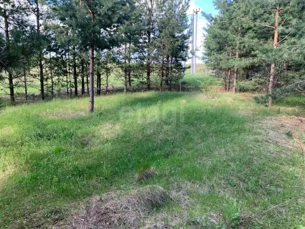 Участок в Кочкуровский район, село Новая Пырма (20 м) - Фото 0