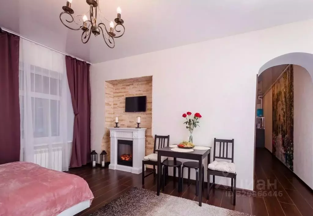 1-к кв. Санкт-Петербург Гороховая ул., 31 (27.0 м) - Фото 2