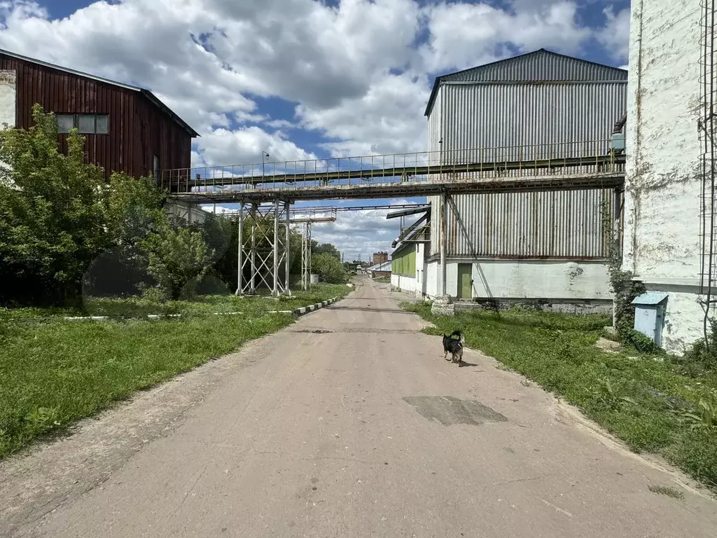Элеватор 50 000 тонн, с жд веткой - Фото 1