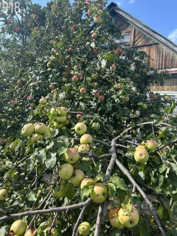 Дом в Свердловская область, Кушвинский муниципальный округ, пос. ... - Фото 2