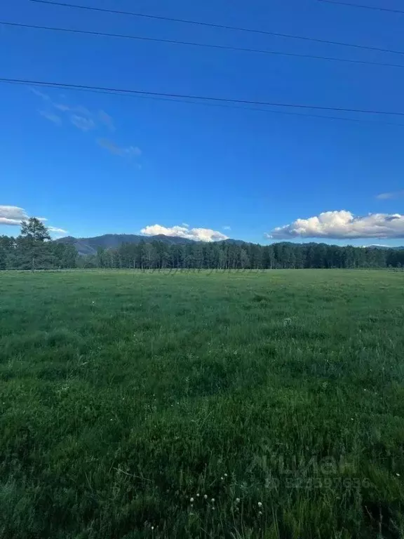 Участок в Алтай, Онгудайский район, с. Каракол ул. Г.А Чунжекова ... - Фото 1